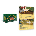 Rockpool Forest Friends: Positive Inspiration From The Animal Kingdom Cards