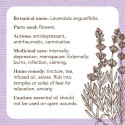 Rockpool Apothecary Flashcards Cards