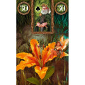 Lo Scarabeo Fairy Lenormand Oracle Cards