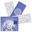 Blue Angel Secrets Of The Witch Oracle Cards