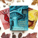 Llewellyn Liminal Spirits Oracle Cards