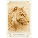 Blue Angel White Light Oracle Cards