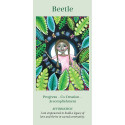 Blue Angel Wings Of Wisdom Oracle Cards