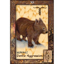 Blue Angel Animal Dreaming Oracle Cards