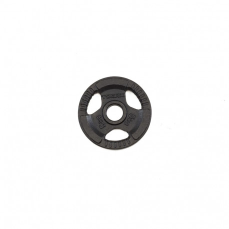 Weight for bars TOORX DGN-TG5 D50mm 5kg