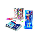 TOY CREATIVE SET HUMAN BODY 50923