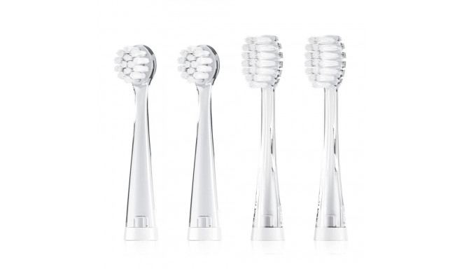 SG-513 SEAGO läbipaistev varuharjade komplekt, 4 tk, SG-513 täitepakend