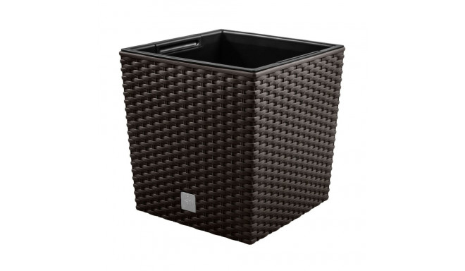 Rato Low DRTS325L umbra lilletops sisuga