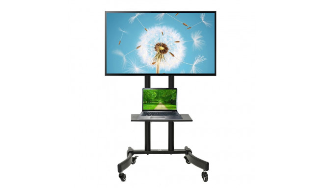 Professionaalne TV alus ratastel Maclean, max 32-65", max 40kg, MC-739