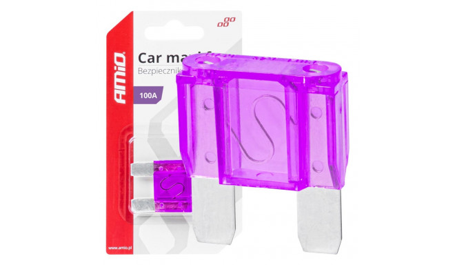 maxi auto kaitse 100a amio-03387