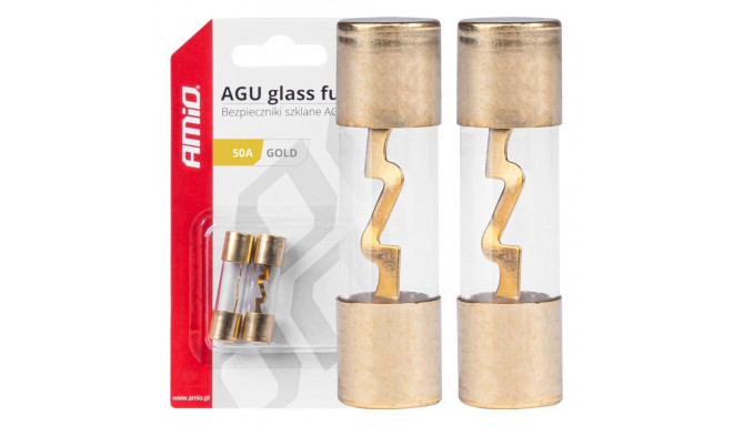 klaasist kaitsmed 2 tk 50a amio-03486