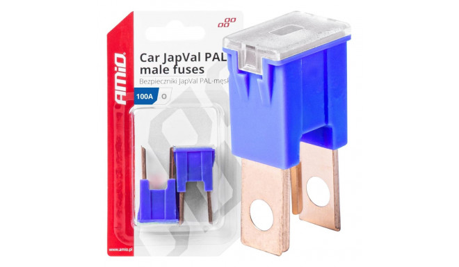 Autokaitsmed japval pal isased 2 tk. 100A amio-03403