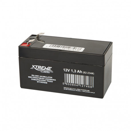 82-234# geelakuga akupatarei 12v 1.3ah xtreme 98x52x44_4,8