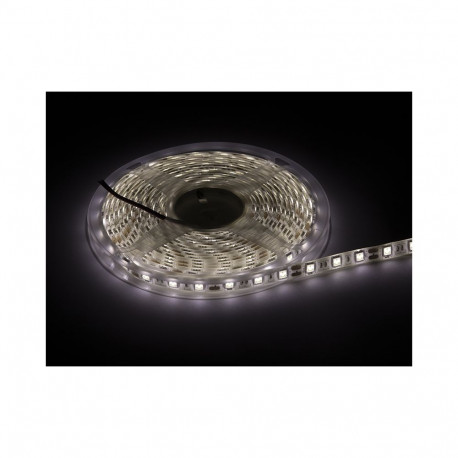 70-734# LED riba neutraalne valge 5050 5m/300veekindel