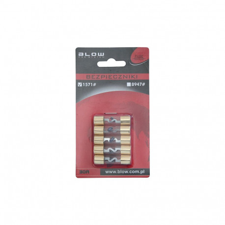 1571# auto klaasist kaitse 30a blister 5 tk