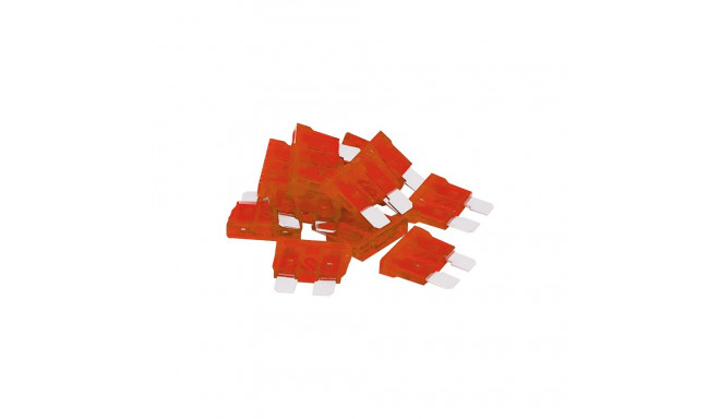 6382# Auto kaitsme 10a