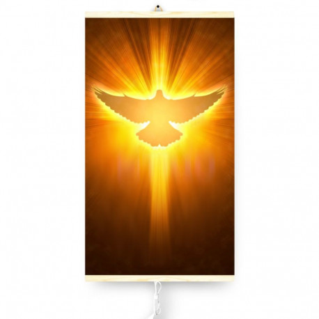 Infrapuna radiaator - painduv küttepaneel 430W TRIO muster 12 tuvi, mõõtmed 100x57cm koos regulaator