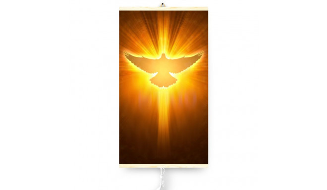 Infrapuna radiaator - painduv küttepaneel 430W TRIO muster 12 tuvi, mõõtmed 100x57cm koos regulaator