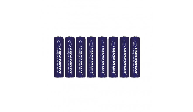 EZB103 Esperanza leelispatareid AA 8tk blisterpakendis