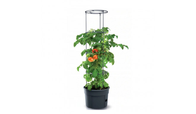 Tomati kasvatamise pott Tomato Grower IPOM300