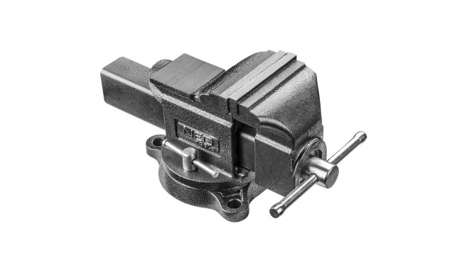 Töökoja kruviklamber 100mm