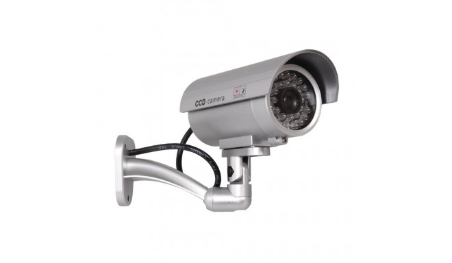 Atrapa tubekaamera, IR LED dioodid, hõbedane, IR9000S