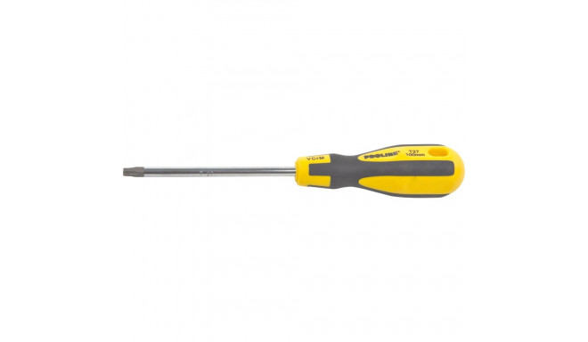 10193 Wkrętak torx security T25