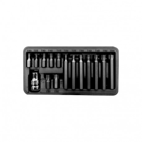 10 mm otsikute komplekt, t20-t55, l=30/75 mm, 15 tk proline