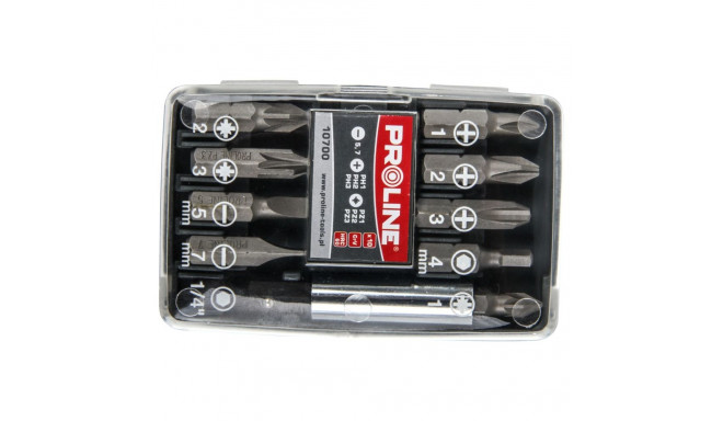 Zestaw końc. z uchwytem magn. (ph,pz,hex,pł) szt.10 proline