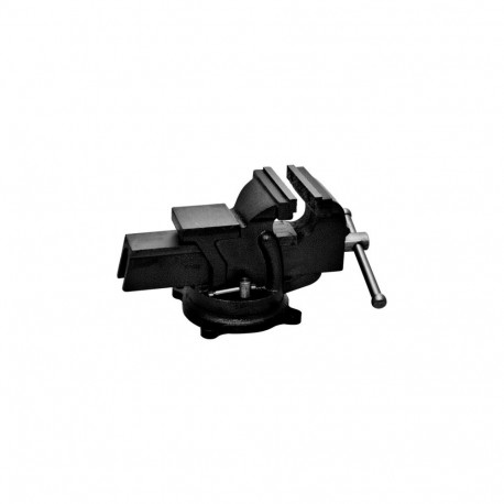 25612 Pöörlev lukksepa kruustangid 125 mm, Proline