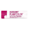 Värviline huulepalsam Hurraw! PlantColor Nº 2 4,8 g Stick