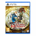 Видеоигры PlayStation 5 505 Games Eiyuden Chronicle: Hundred Heroes