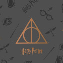 Bedspread (quilt) Harry Potter Deathly Hallows Multicolour Bed 150 cm