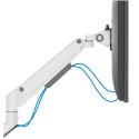 Lauatugi Ekraanile Neomounts DS70-250WH1 17" 35"