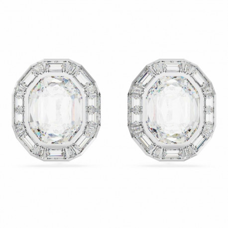 Naiste Kõrvarõngad Swarovski 5669913