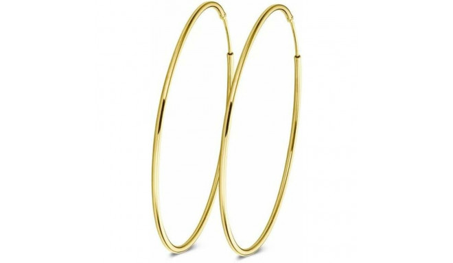 Earrings New Bling 9NB-0572