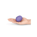 Silikoonist käepidemega masseerija Petite Silicone Texture Covers Le Wand Petite