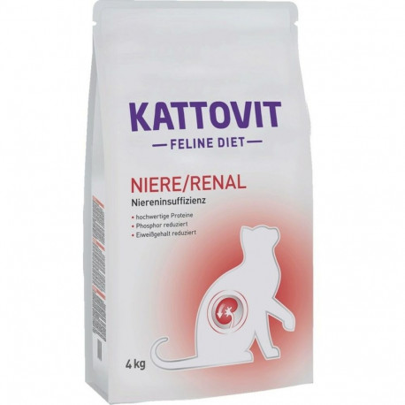 Kassitoit Kattovit Renal