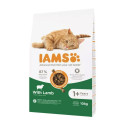 Kaķu barība IAMS Advanced Nutrition Cat Adult Jēra gaļa 10 kg