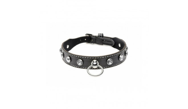 Bondage Collar with Chain XR