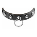 Bondage Collar with Chain XR