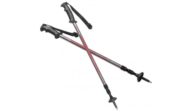 Trekking poles Spokey Ekvilibro GY RD gray-red 924976