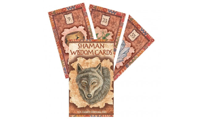 US Games Systems Shaman Wisdom Cards