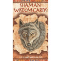US Games Systems Shaman Wisdom Cards