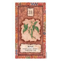 US Games Systems Shaman Wisdom Cards