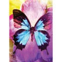 Blue Angel Butterfly Affirmations cards