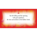 US Games Systems Inspirational Buddha Wisdom Divine Masculine cards