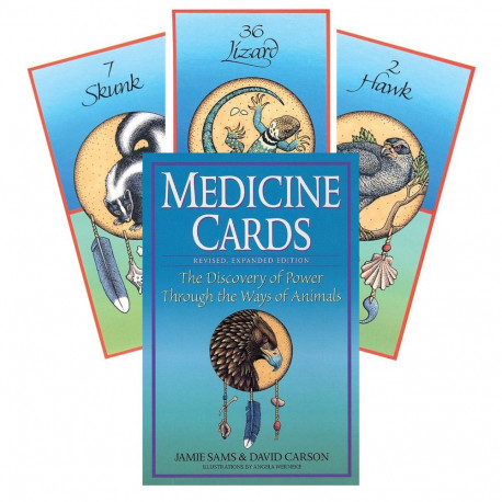 US Games Systems Medicine Cards