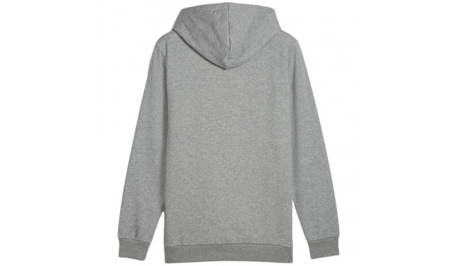 Bluza męska Puma Ess+ Logo LAB Gradient Hoodie FL szara 681775 03 L