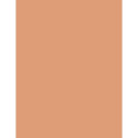 The Body Shop Coconut Bronze Matte Bronzing Powder (9ml) (03 Matte Coco Medium)